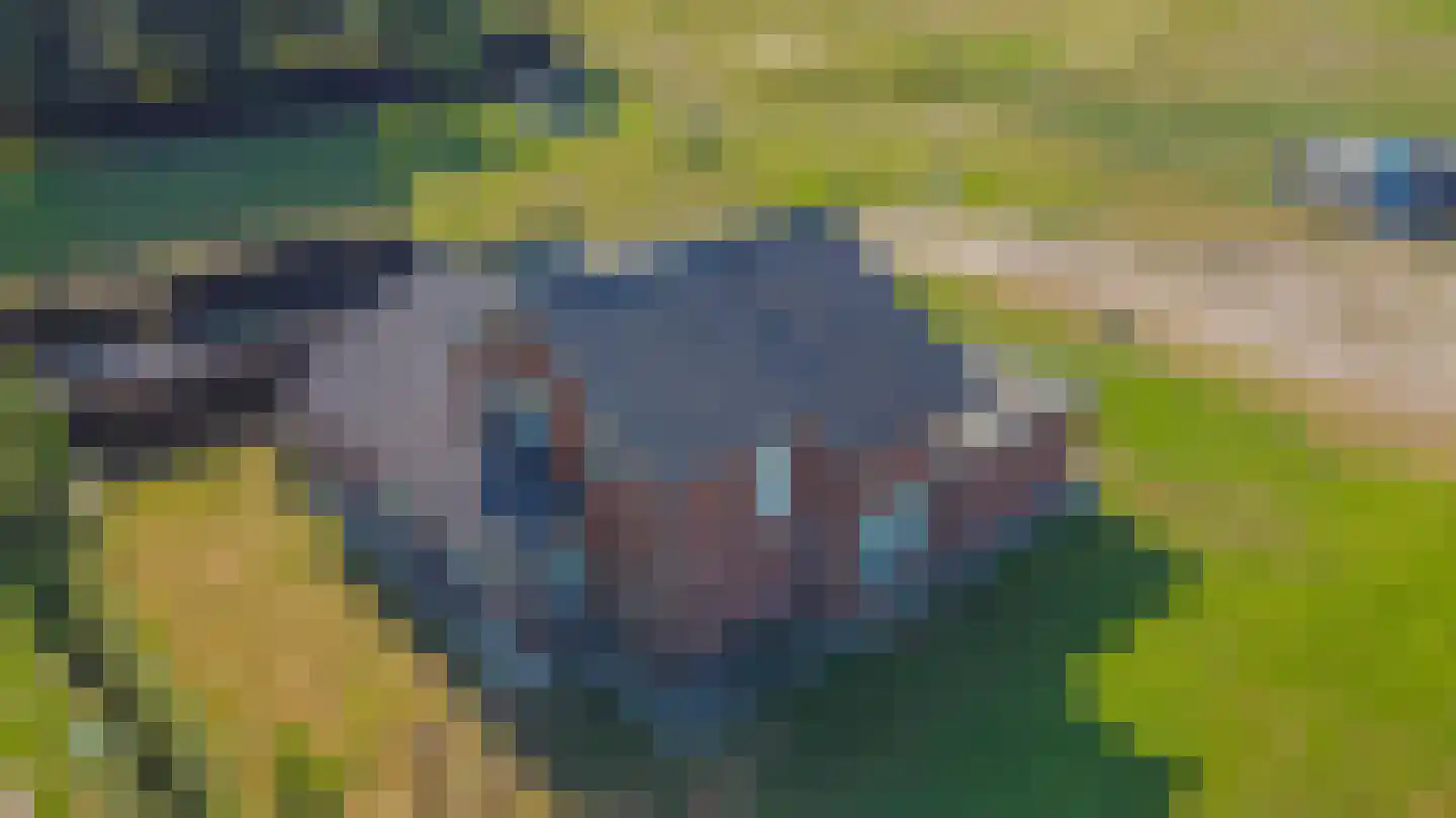 Het Zand 12 Koewacht thumbnail 4