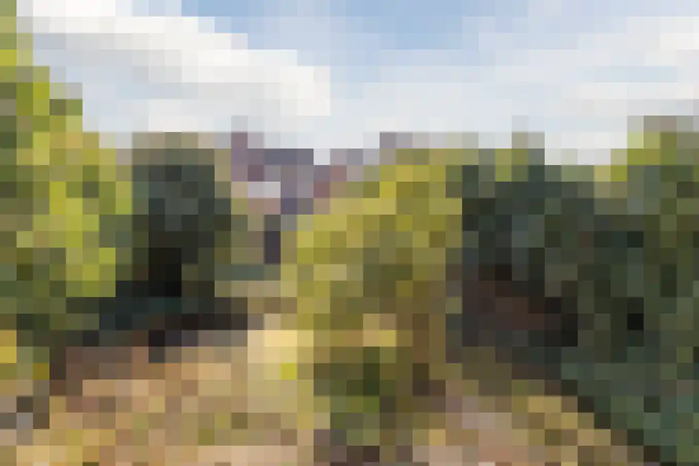 Het Zand 18 Cuijk thumbnail 19