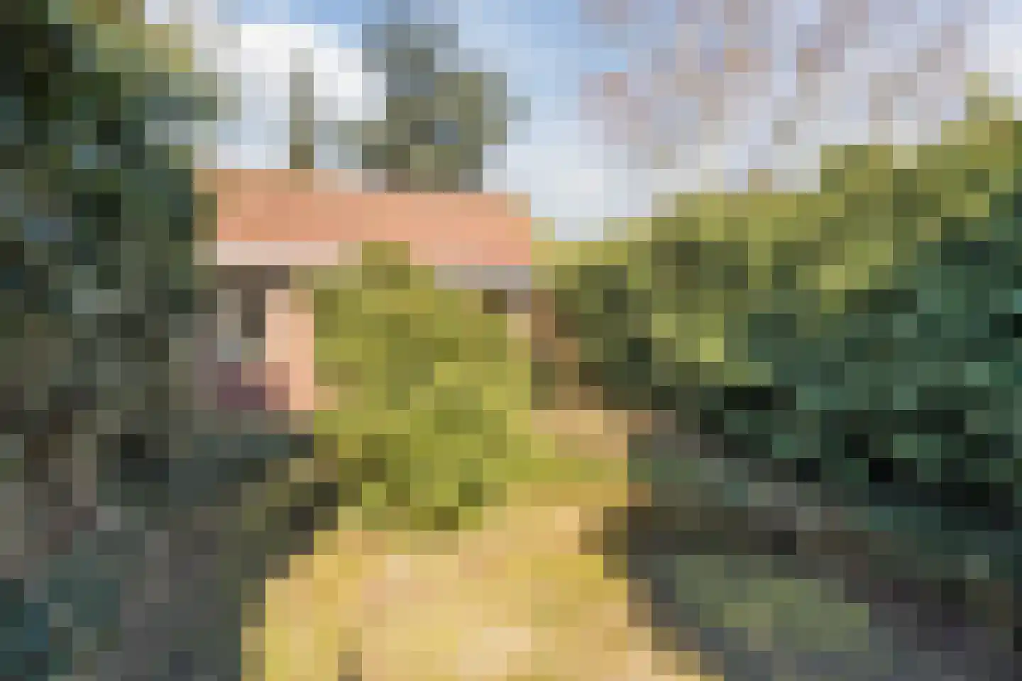 Het Zand 18 Cuijk thumbnail 4