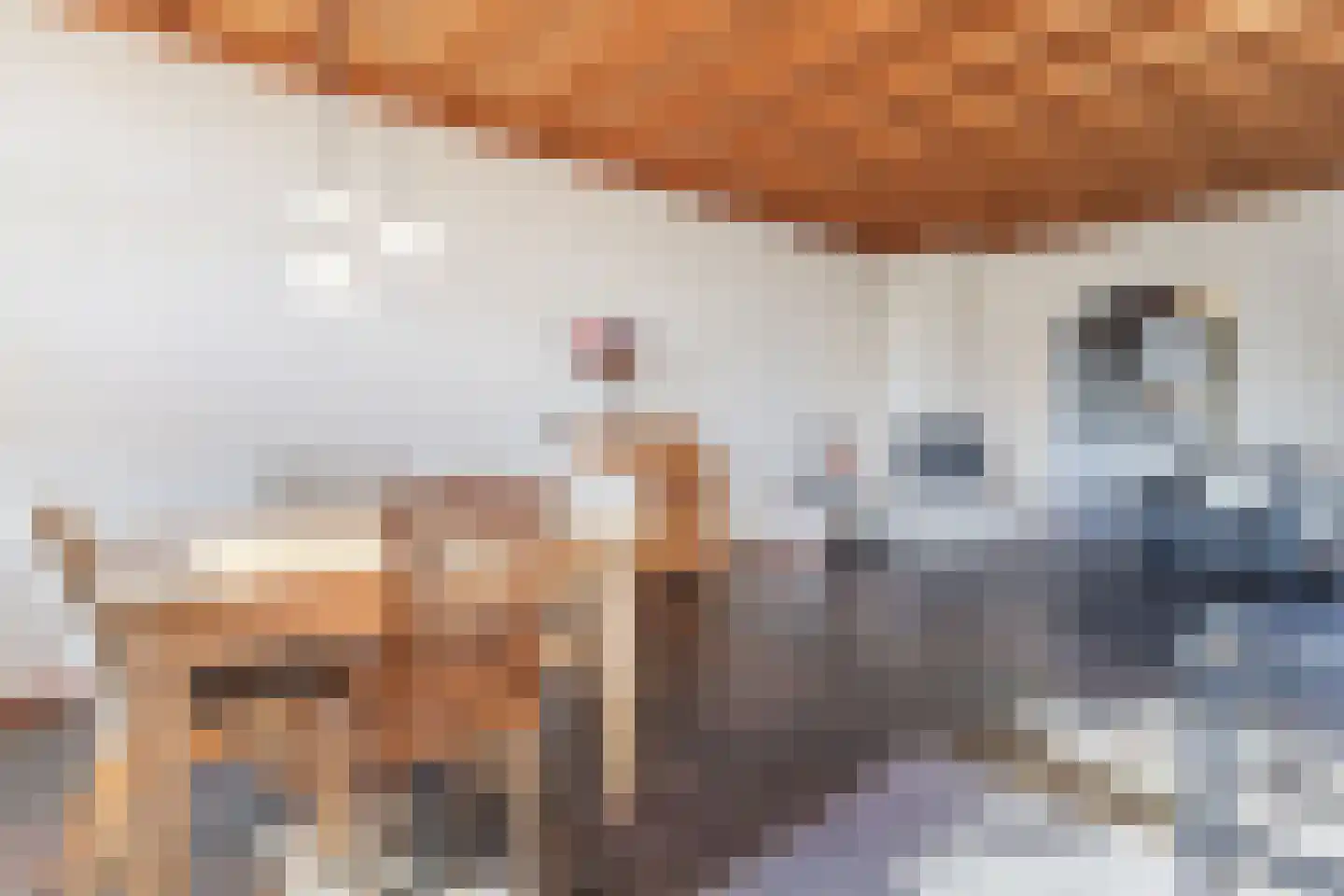 Het Zand 18 Cuijk thumbnail 9