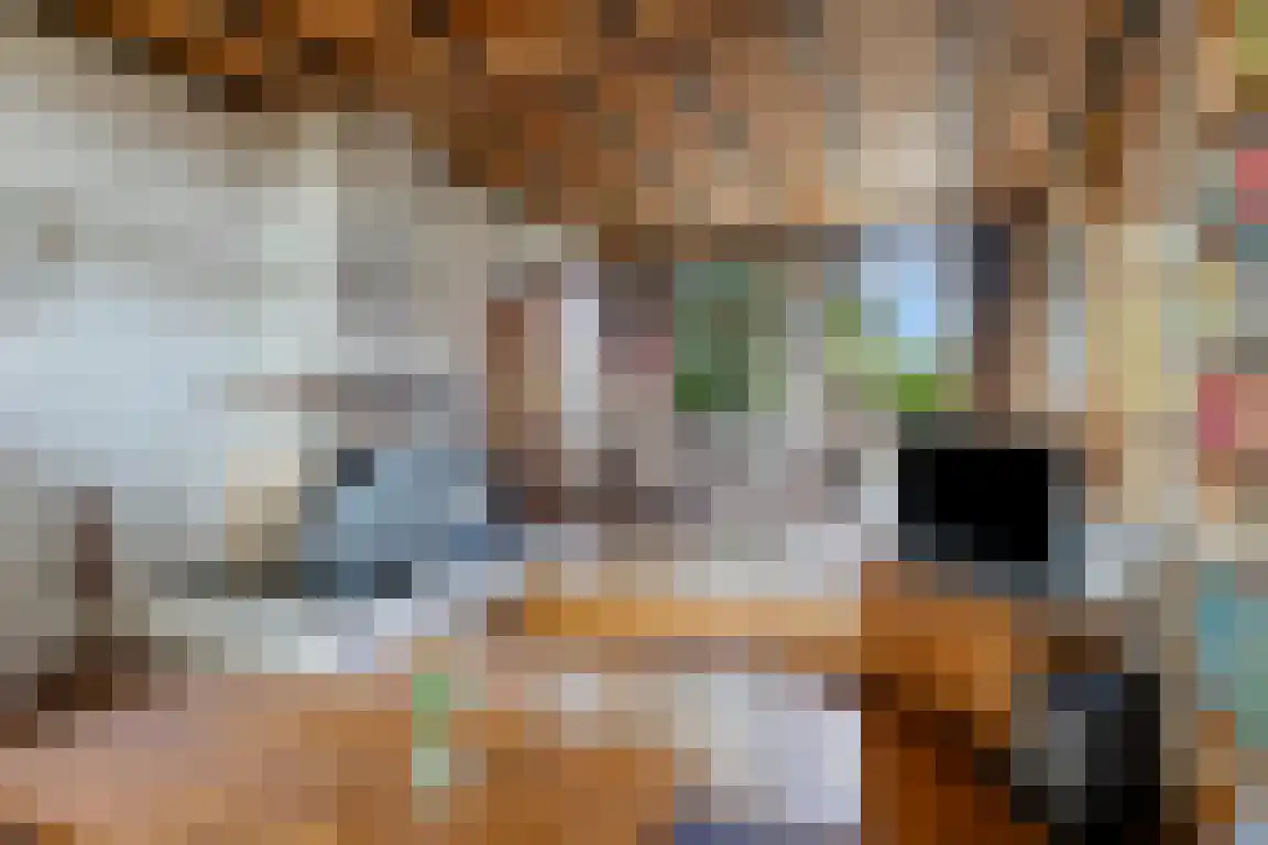 het Zand 5 Boxmeer thumbnail 10