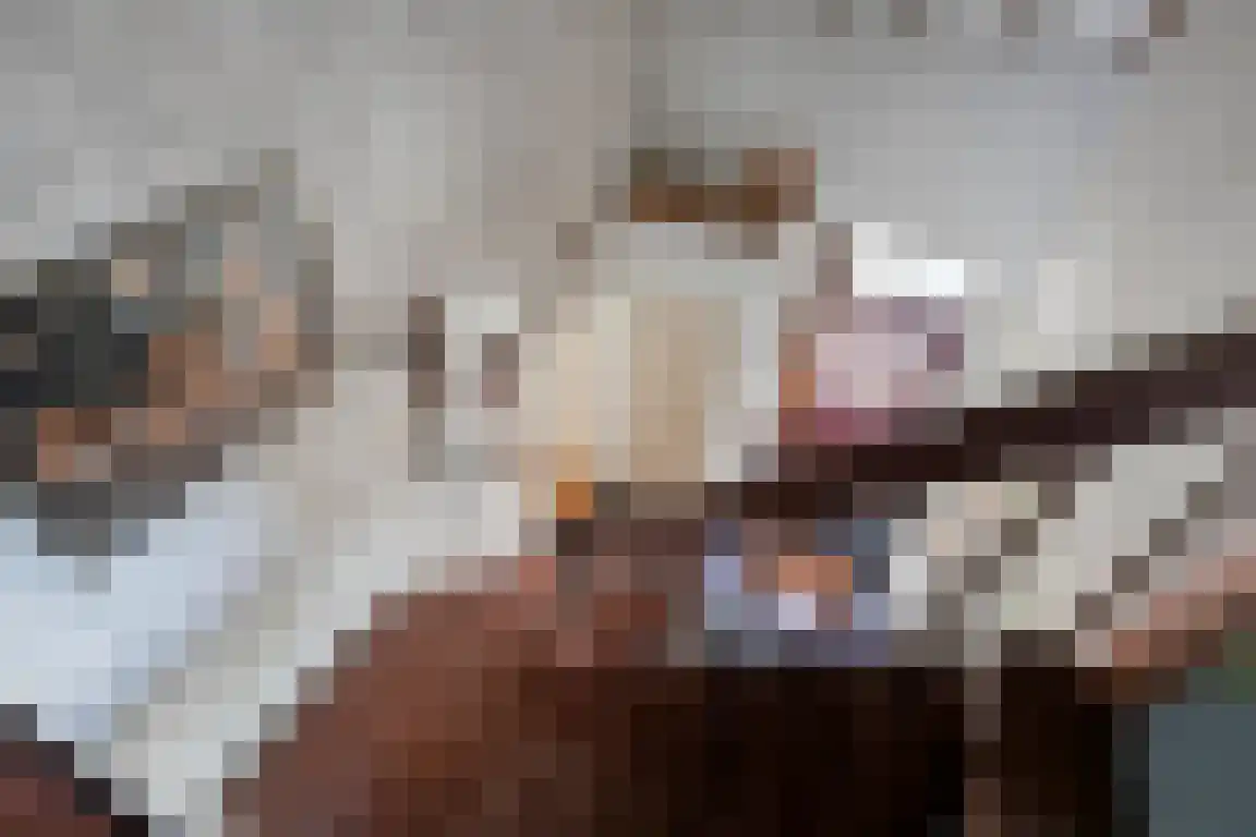 het Zand 5 Boxmeer thumbnail 18