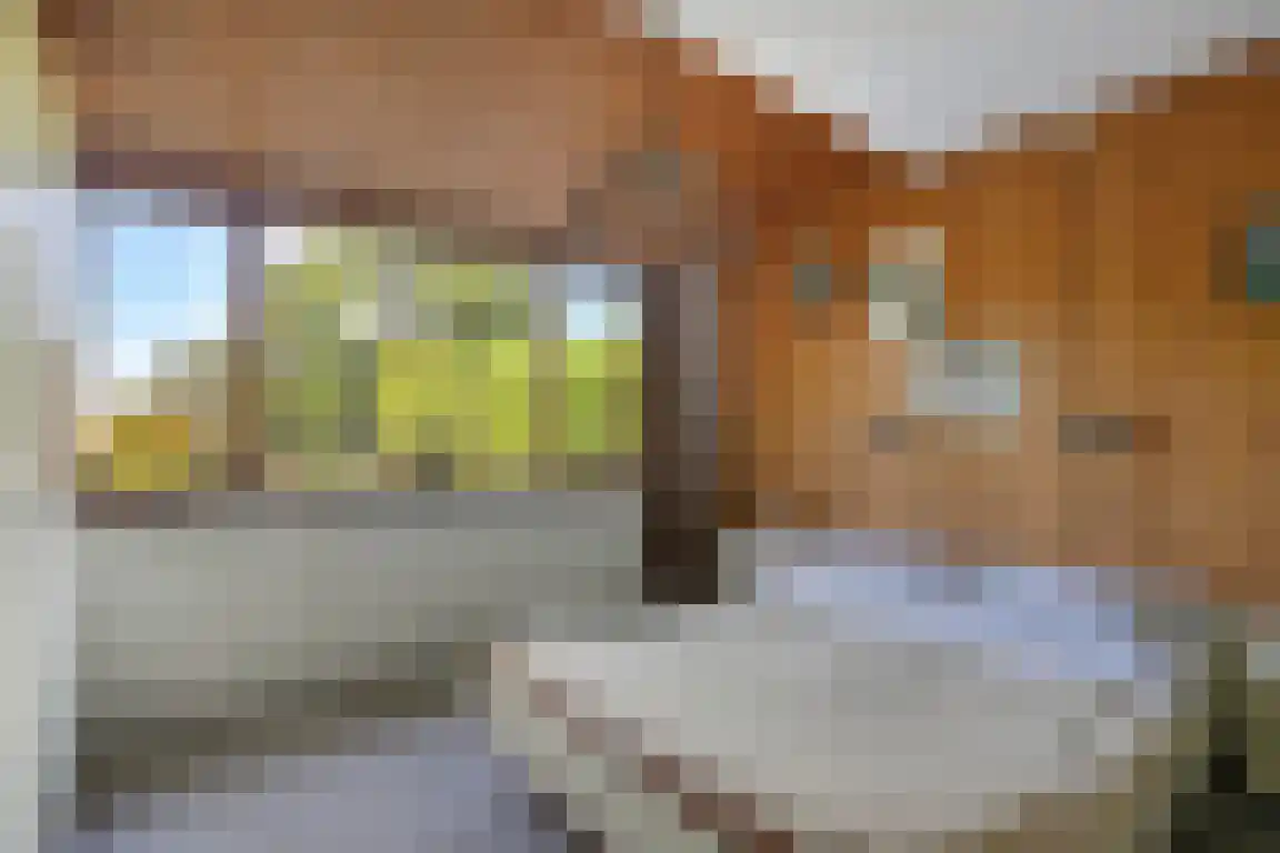 het Zand 5 Boxmeer thumbnail 20