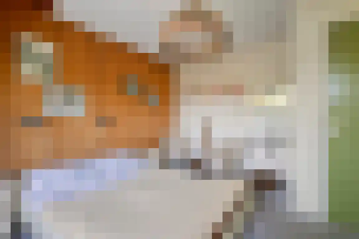 het Zand 5 Boxmeer thumbnail 21