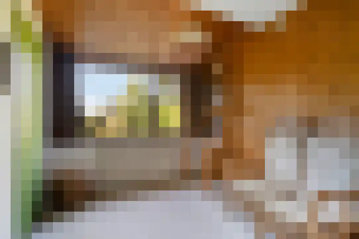 het Zand 5 Boxmeer thumbnail 23
