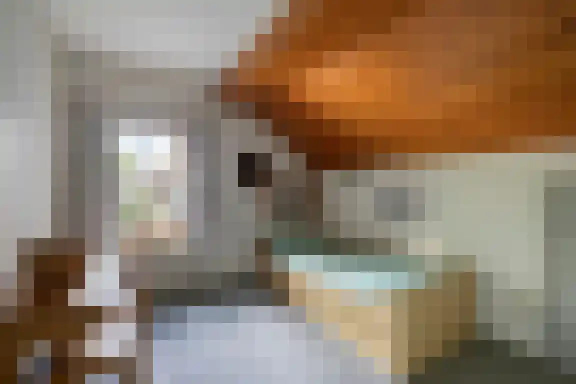 het Zand 5 Boxmeer thumbnail 24