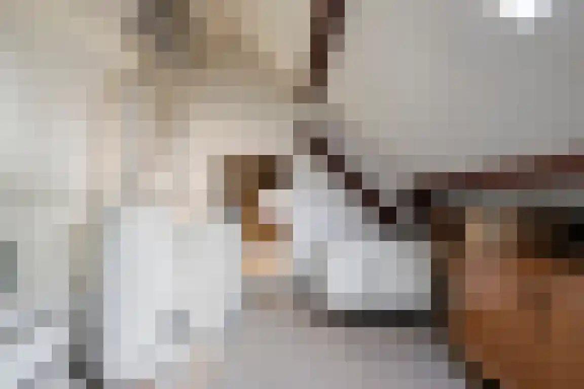 het Zand 5 Boxmeer thumbnail 25