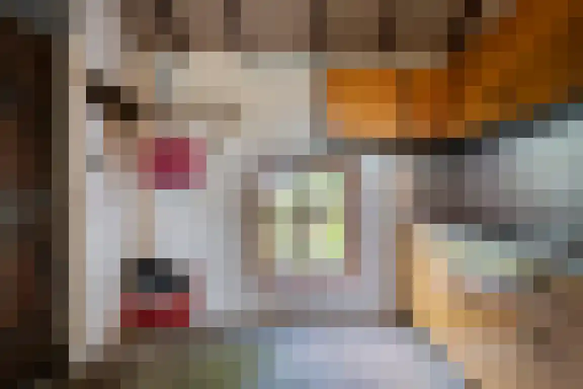 het Zand 5 Boxmeer thumbnail 30