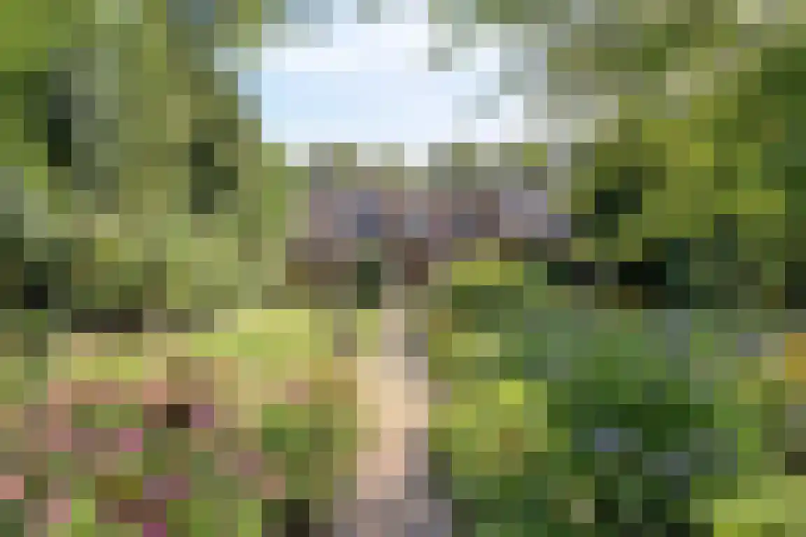 het Zand 5 Boxmeer thumbnail 33