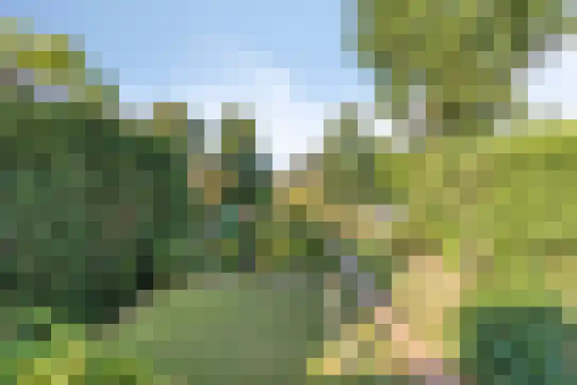 het Zand 5 Boxmeer thumbnail 34