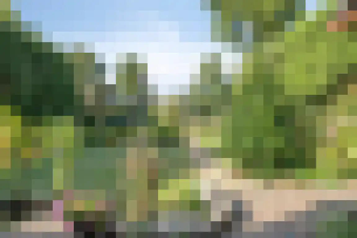 het Zand 5 Boxmeer thumbnail 35