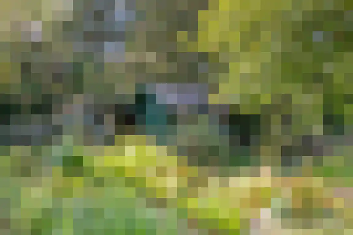 het Zand 5 Boxmeer thumbnail 39