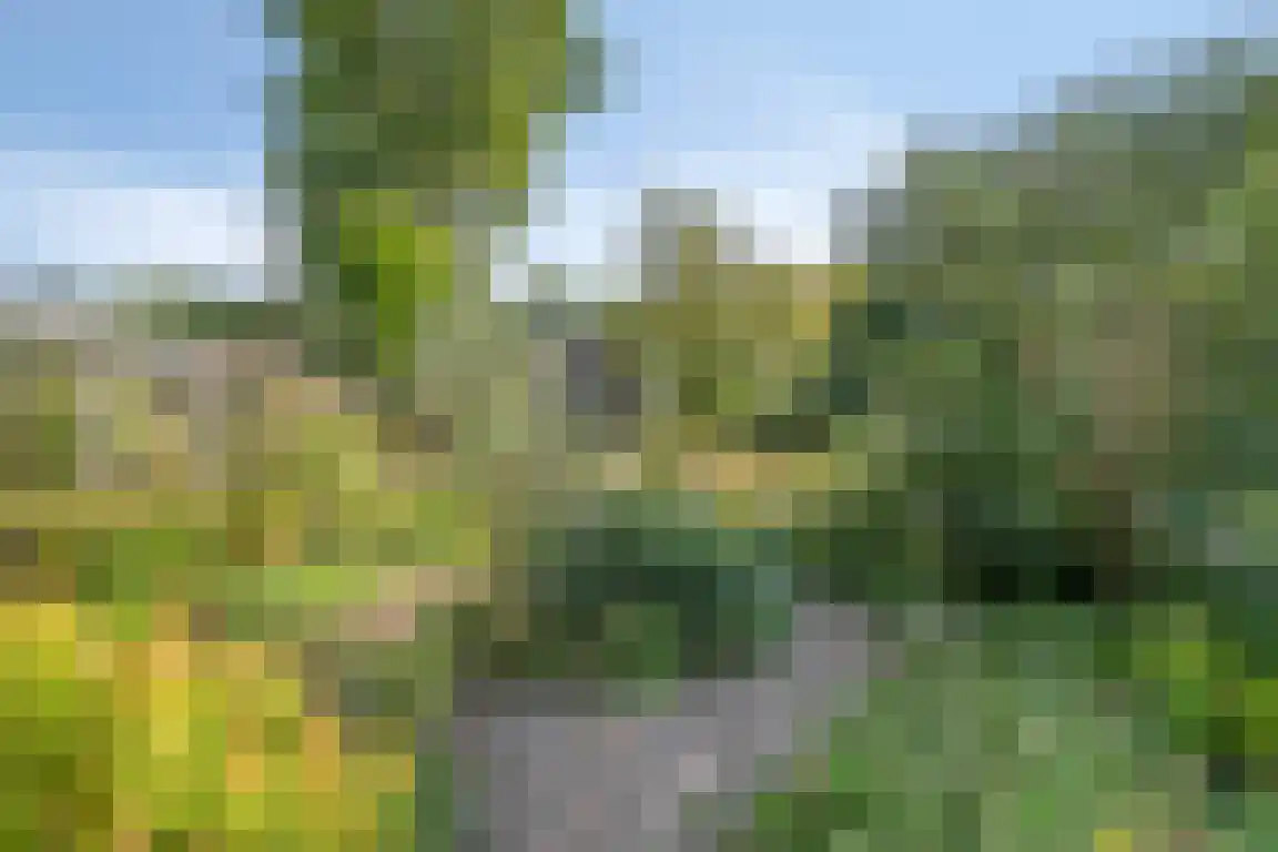 het Zand 5 Boxmeer thumbnail 40