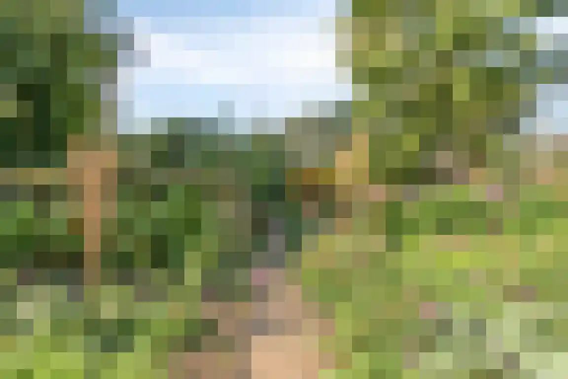 het Zand 5 Boxmeer thumbnail 41