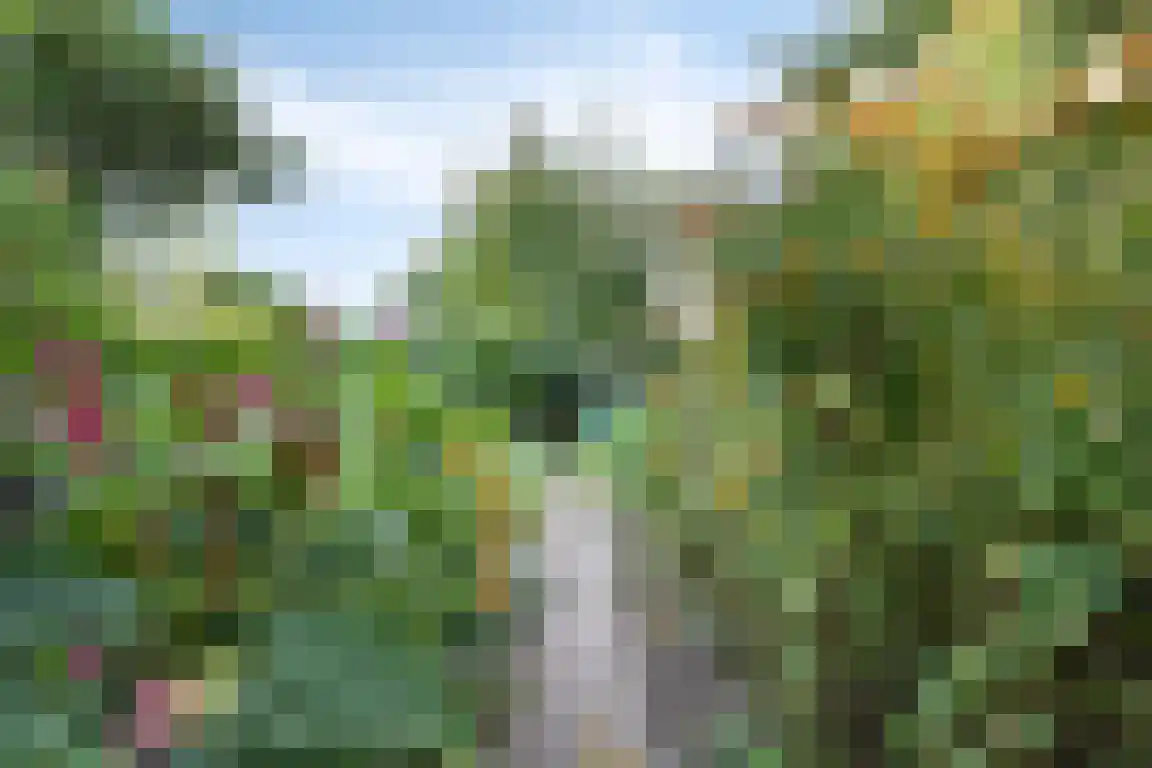 het Zand 5 Boxmeer thumbnail 42