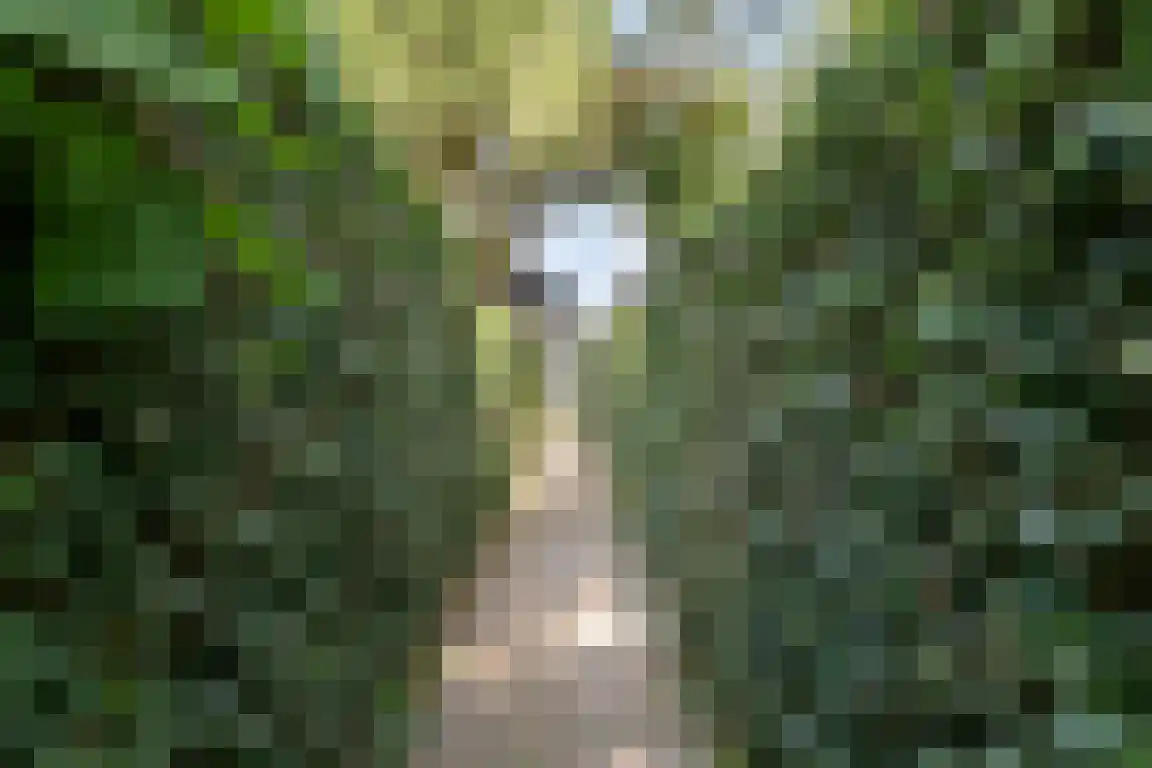 het Zand 5 Boxmeer thumbnail 43