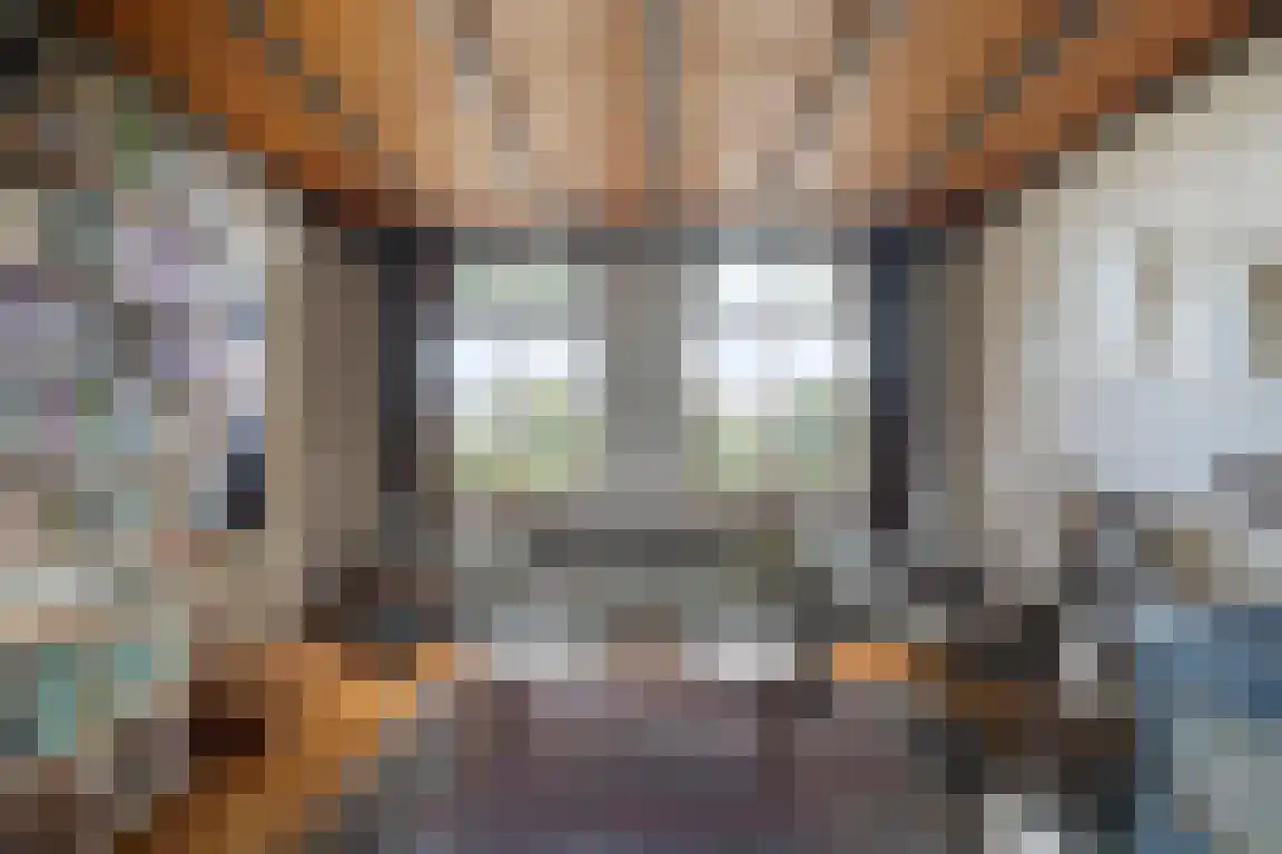 het Zand 5 Boxmeer thumbnail 9