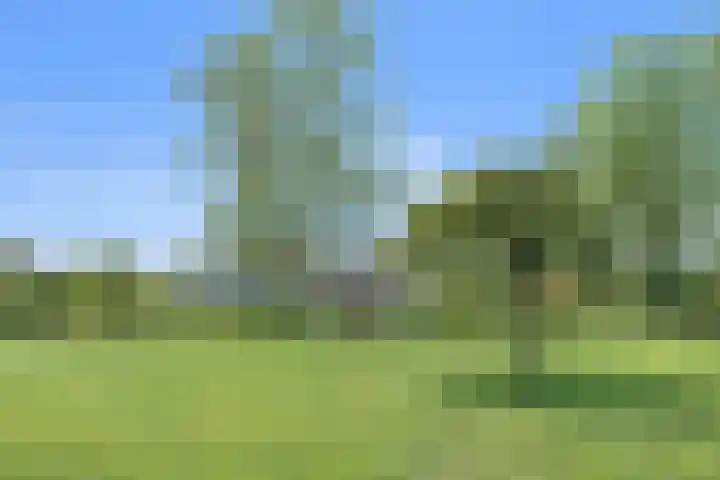 Het Zand 52 Koewacht
