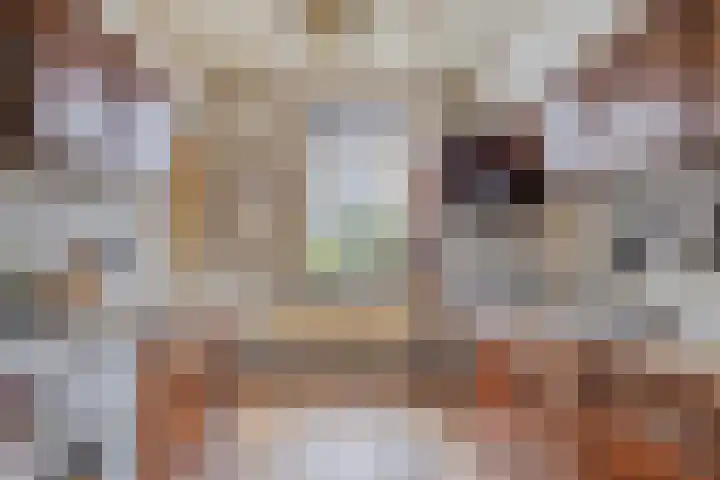 Het Zand 52 Koewacht thumbnail 12