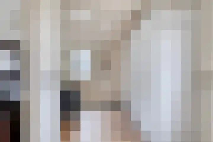 Het Zand 52 Koewacht thumbnail 14