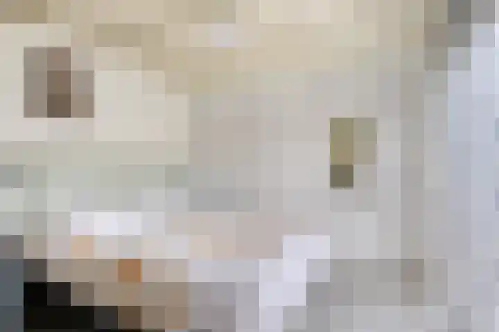 Het Zand 52 Koewacht thumbnail 15