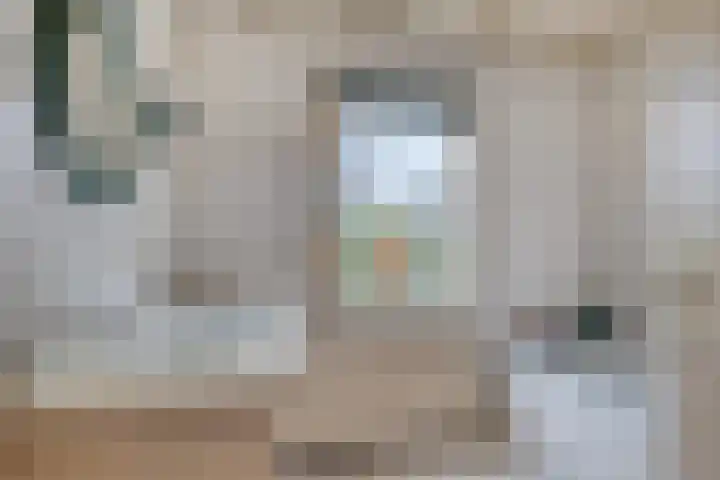 Het Zand 52 Koewacht thumbnail 16