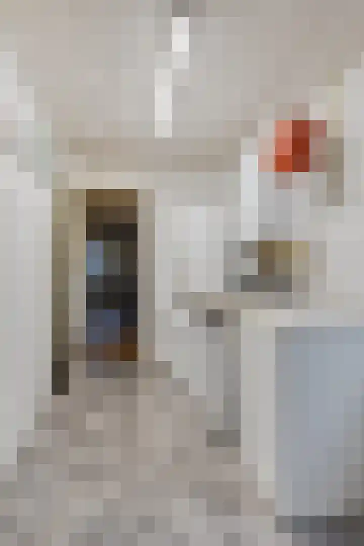 Het Zand 52 Koewacht thumbnail 17