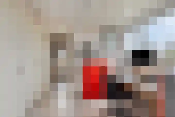 Het Zand 52 Koewacht thumbnail 19