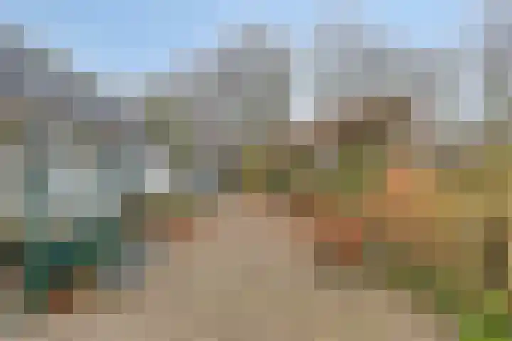 Het Zand 52 Koewacht thumbnail 24