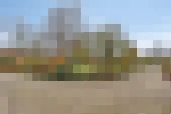 Het Zand 52 Koewacht thumbnail 26
