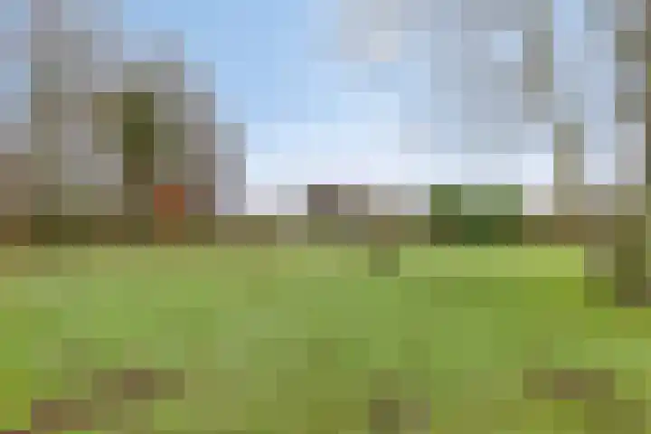 Het Zand 52 Koewacht thumbnail 27