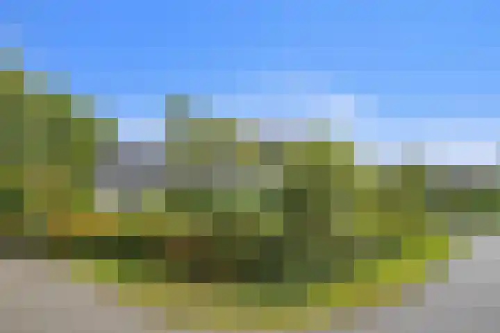 Het Zand 52 Koewacht thumbnail 4