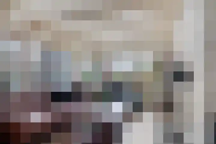Het Zand 52 Koewacht thumbnail 7
