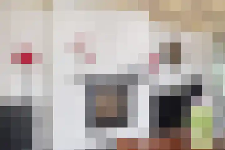 Het Zand 52 Koewacht thumbnail 8