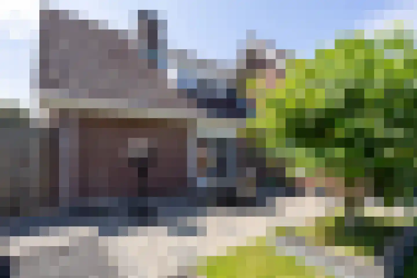 het Zand 54 Beneden-Leeuwen thumbnail 33