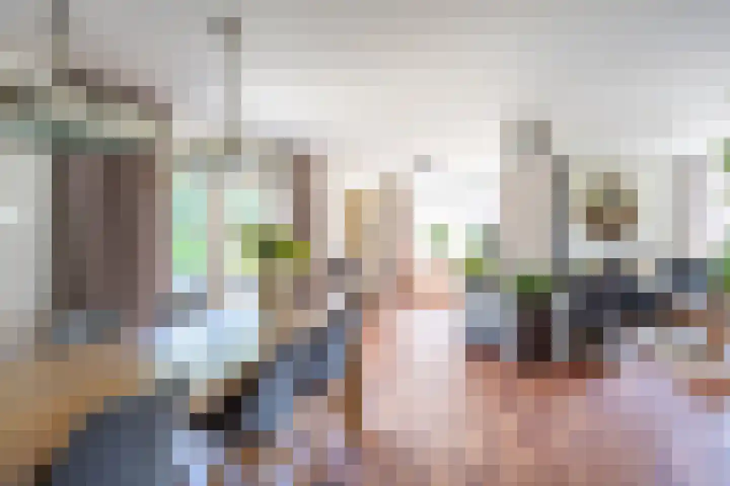 het Zand 54 Beneden-Leeuwen thumbnail 8