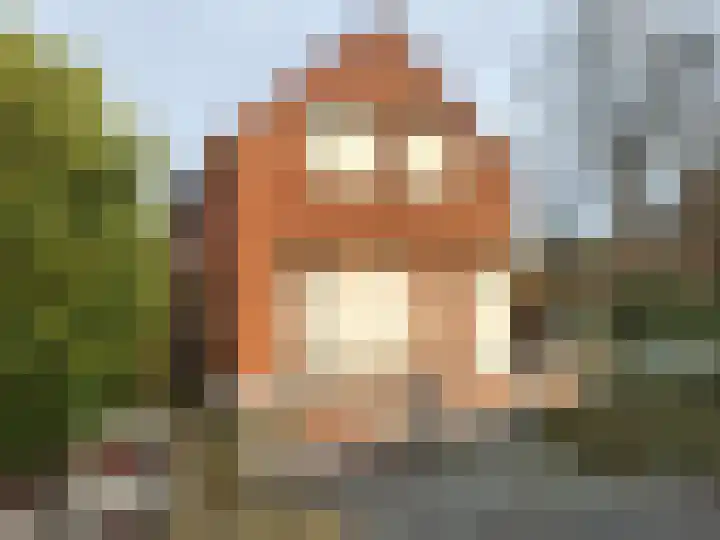 Het Zand 56 in Koewacht