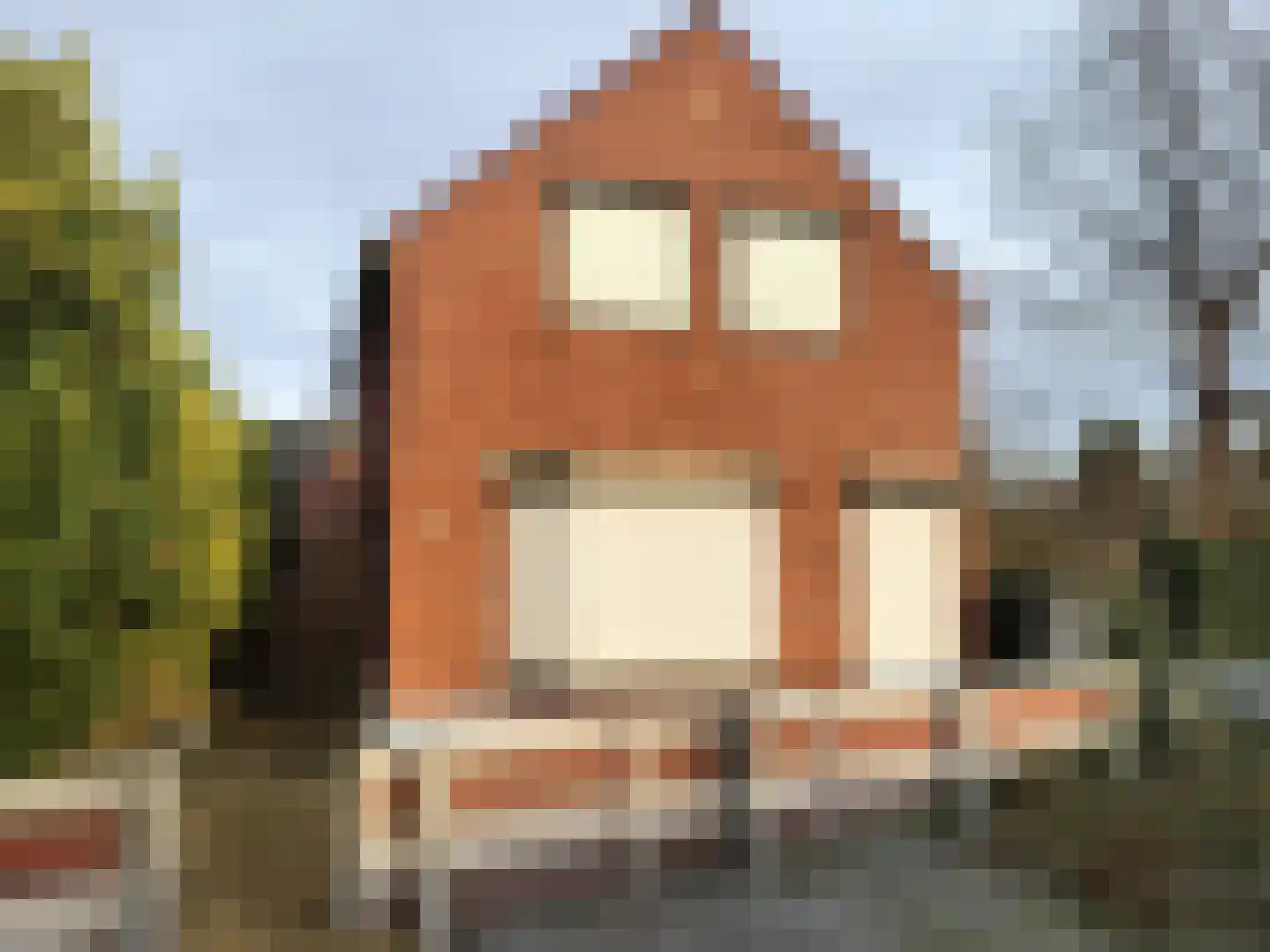 Het Zand 56 Koewacht foto 2