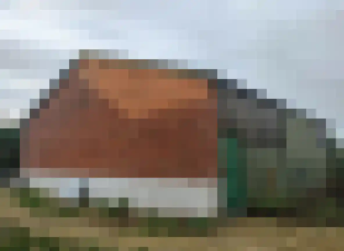 Het Zand 56 Koewacht thumbnail 4