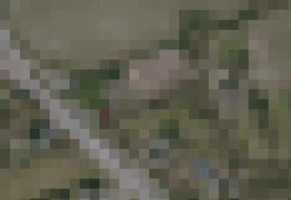 Het Zand 56 Koewacht thumbnail 5