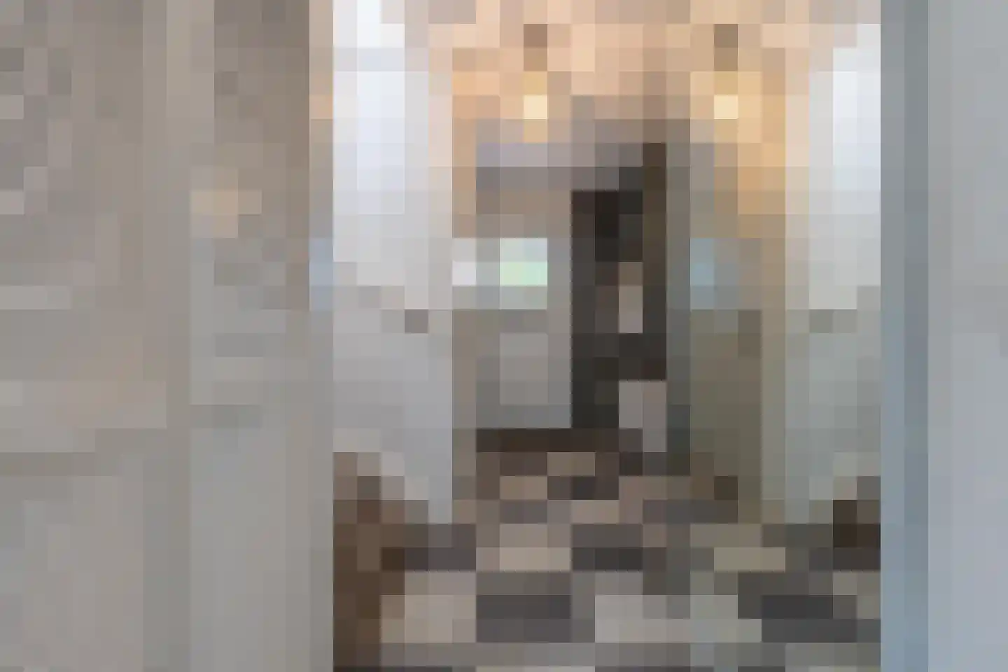 het Zand 58 Beneden-Leeuwen thumbnail 32