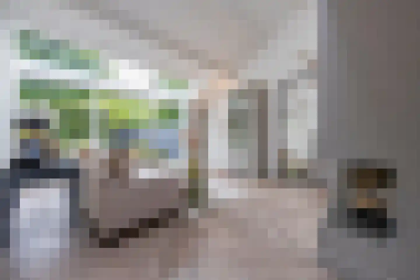 het Zand 58 Beneden-Leeuwen thumbnail 4