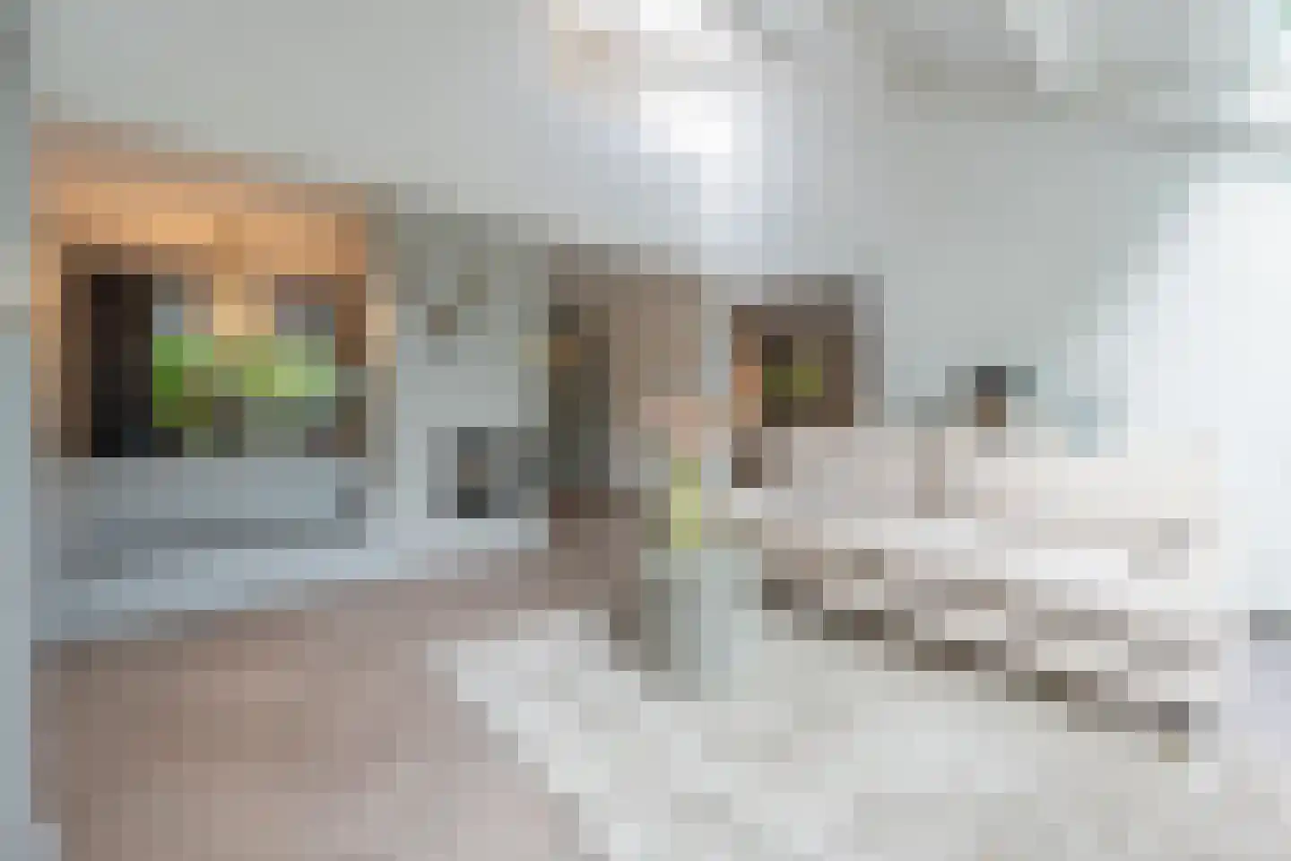 het Zand 58 Beneden-Leeuwen thumbnail 5