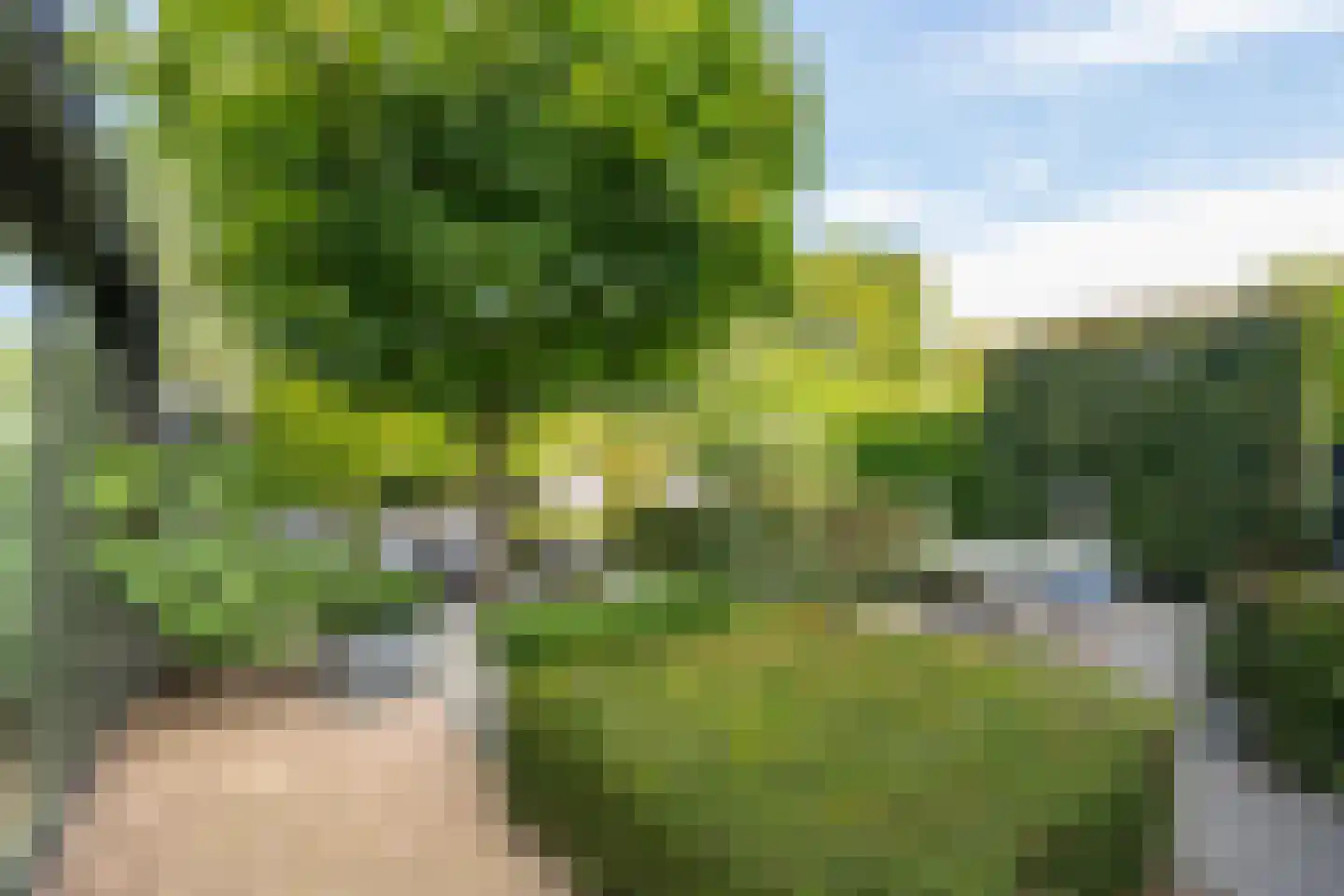 het Zand 58 Beneden-Leeuwen thumbnail 66