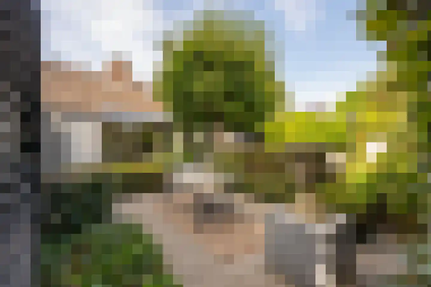 het Zand 58 Beneden-Leeuwen thumbnail 67