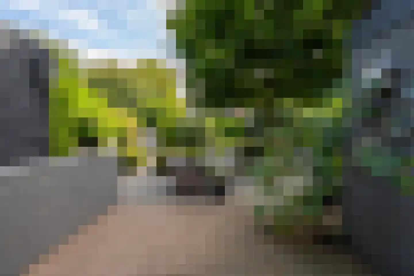 het Zand 58 Beneden-Leeuwen thumbnail 68