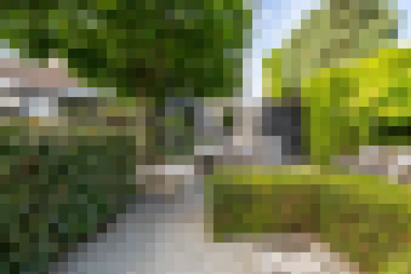 het Zand 58 Beneden-Leeuwen thumbnail 70