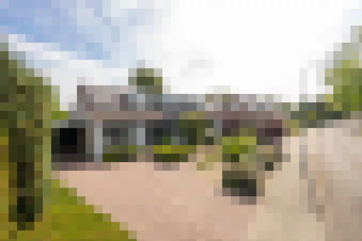 het Zand 58 Beneden-Leeuwen thumbnail 83