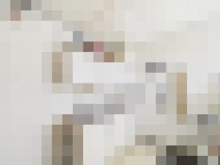 Het Zand 59 Koewacht thumbnail 18