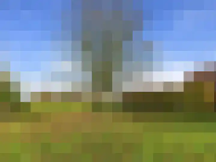 Het Zand 59 Koewacht thumbnail 44